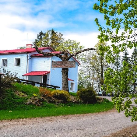Pinska Guesthouse Kültér fotó