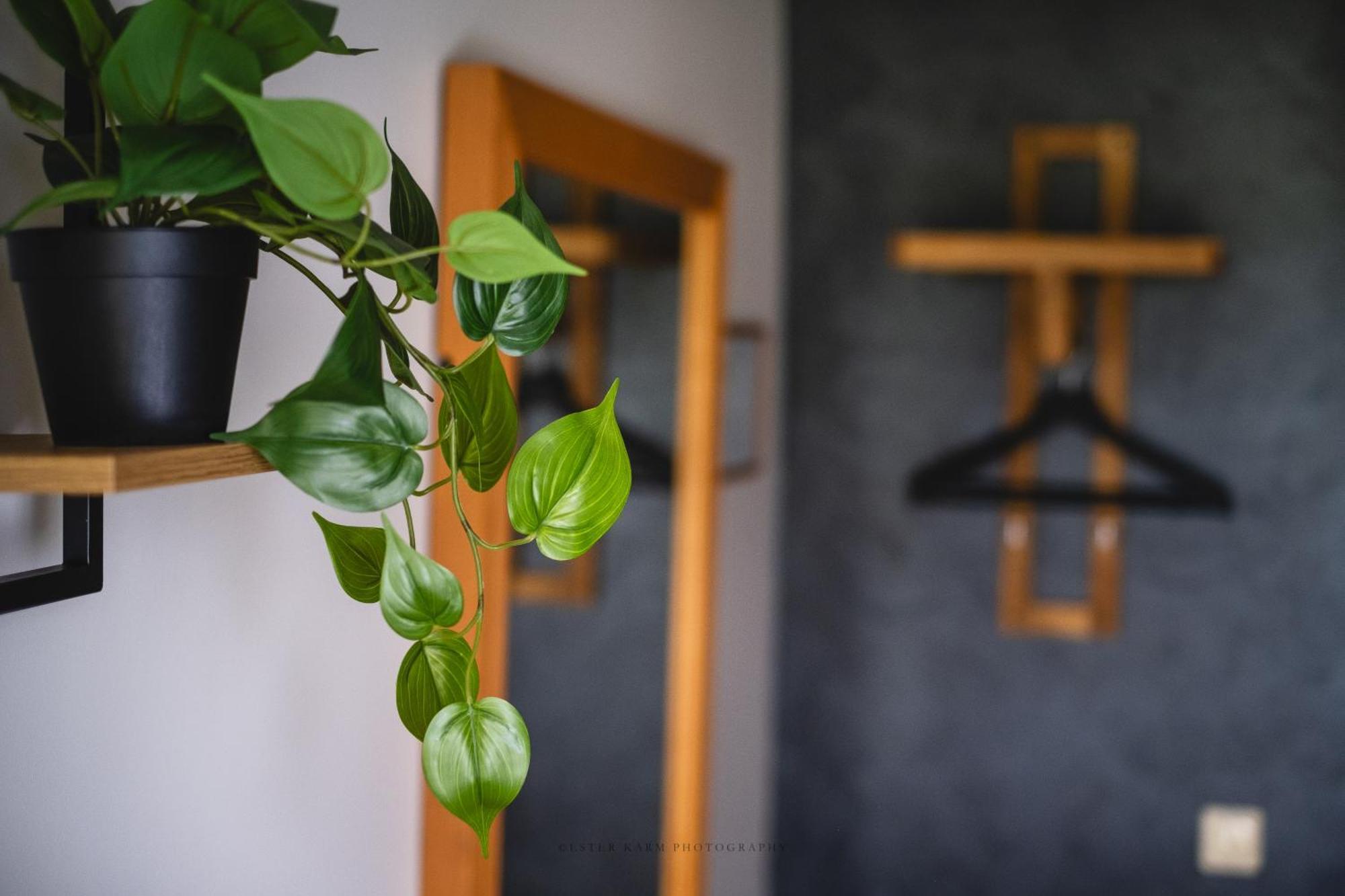 Pinska Guesthouse Kültér fotó